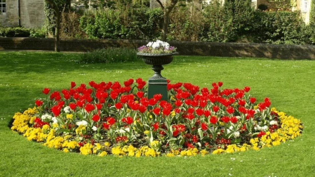 5 Eye-Catching Circular Flower Bed Designs to Transform Your Garden