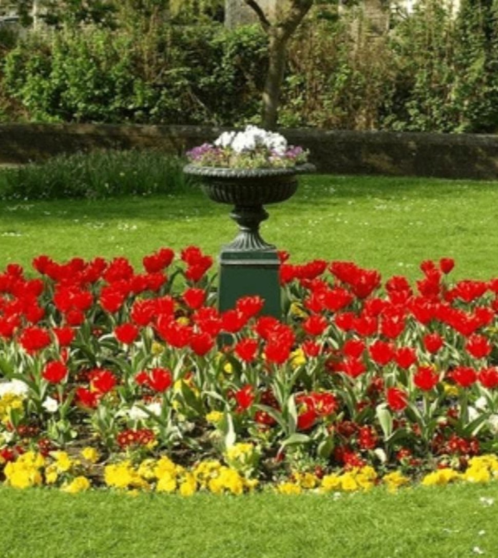 5 Eye-Catching Circular Flower Bed Designs to Transform Your Garden