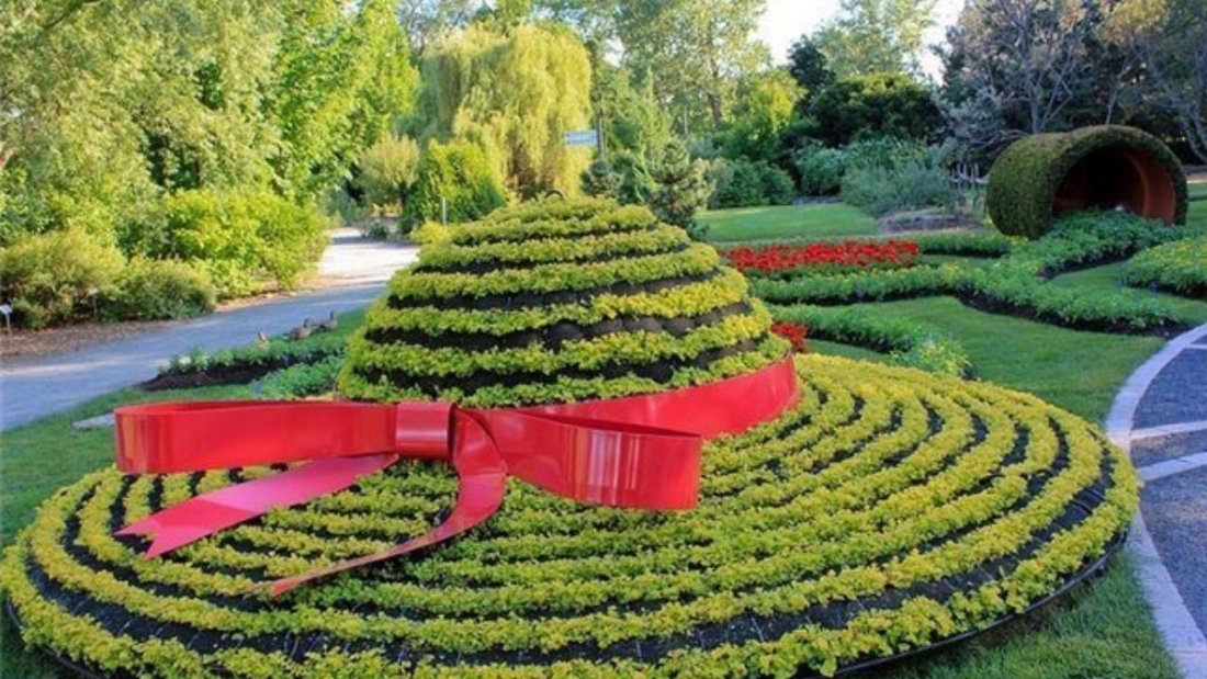 5 Unique Oval Flower Bed Ideas to Upgrade Your Garden Design