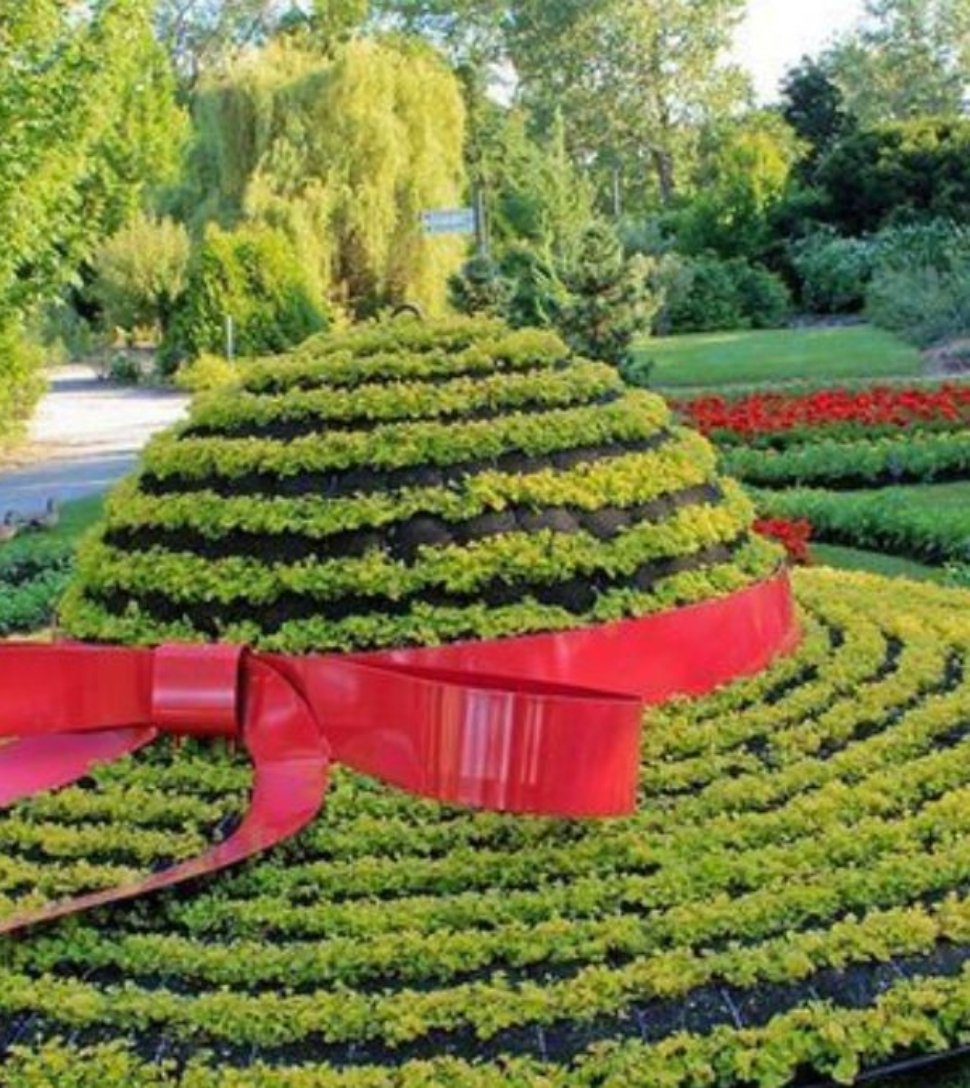 5 Unique Oval Flower Bed Ideas to Upgrade Your Garden Design
