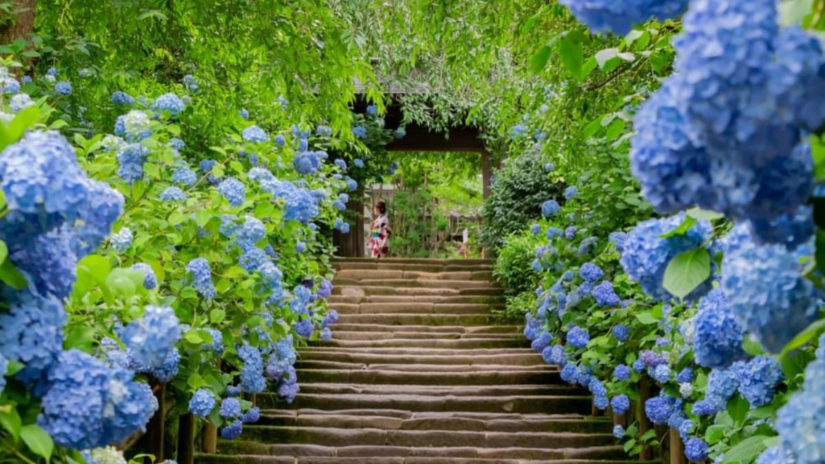 5 Gorgeous Wavy Flower Bed Ideas for a More Dynamic Garden Look