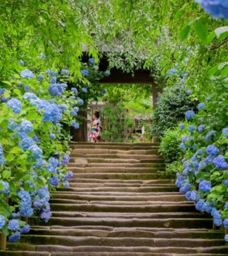 5 Gorgeous Wavy Flower Bed Ideas for a More Dynamic Garden Look