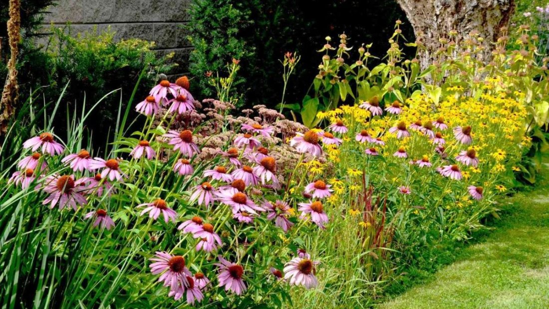 5 Mixed Herbaceous Flower Beds for Year-Round Interest