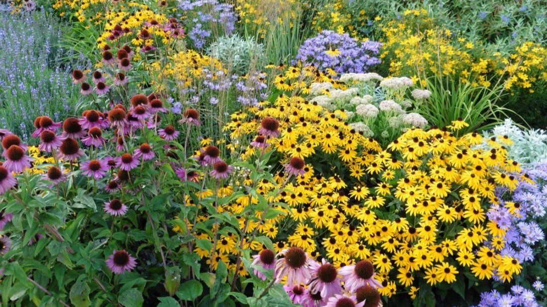 5 Mixed Herbaceous Flower Beds for Year-Round Interest