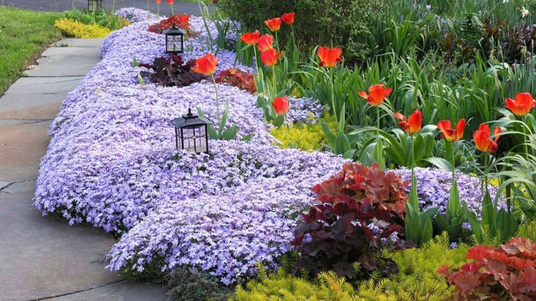 5 Beautiful Shabby Chic Flower Beds for Vintage Outdoor Charm