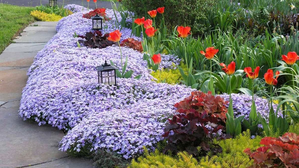 5 Beautiful Shabby Chic Flower Beds for Vintage Outdoor Charm