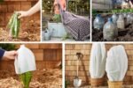 How to Protect Plants from Frost During Winter