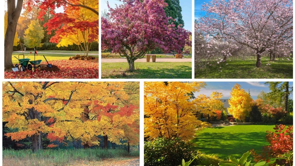 Colorful Foliage Trees for Tiny Landscapes